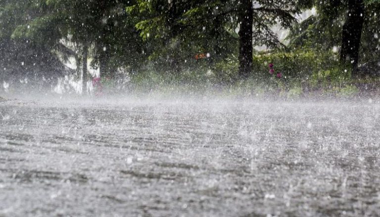 UP में अभी एक हफ्ते तक बरसात के आसार नहीं