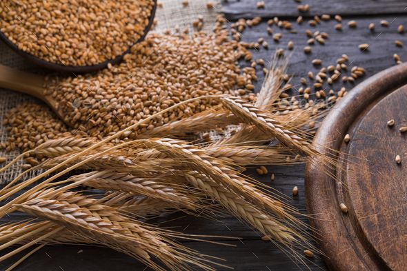 Wheat export at 70.30 lakh tonnes